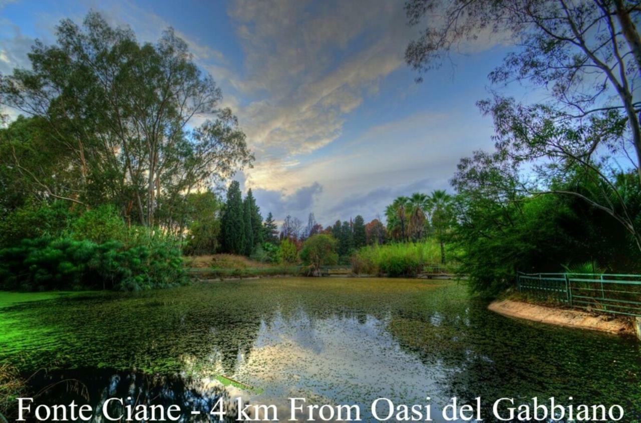 Bed and Breakfast Oasi Del Gabbiano Syracuse Екстер'єр фото
